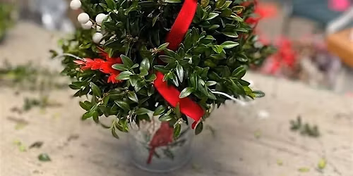 Boxwood Tree Workshop