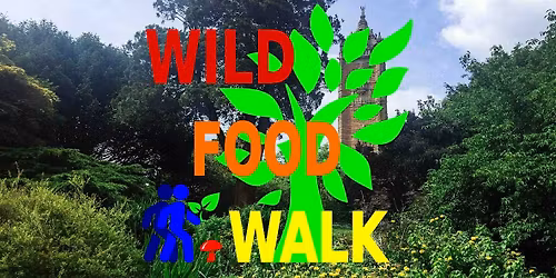 Brandon Hill Park (Bristol) Wild Food Foraging\/ Foragers Walk.