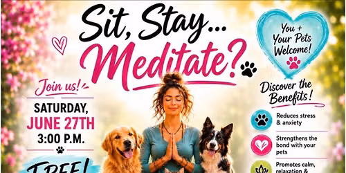 Sit, Stay, and Meditate