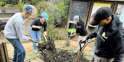 FREE Urban Composting Workshops 2026