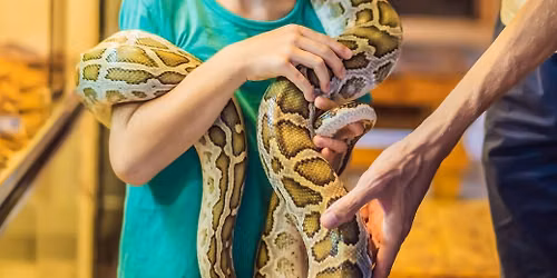 Animal Show: Wild Things and Animals of Prey