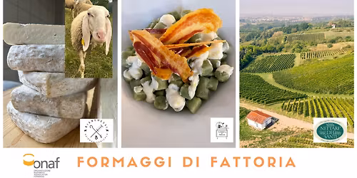 Serata degustazione FORMAGGI di FATTORIA e VINI