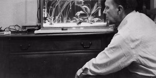 Ants Orase kriitikaauhind 2025