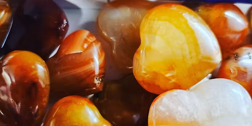 Spring Floral intention workshop w\/ Rae