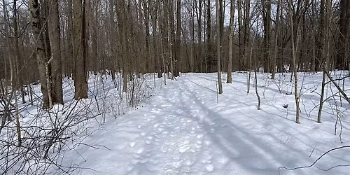 Foundation for Geauga Parks - December Explorers Series Outing