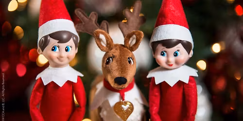 Teatime with \u2018The Elfs\u2019