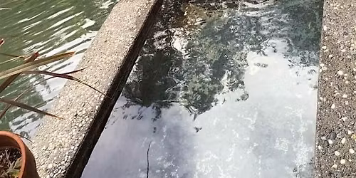 HOLOTROPIC BREATHWORK  2 nights retreat @ ORR Hot Springs, Ukiah   9 spots