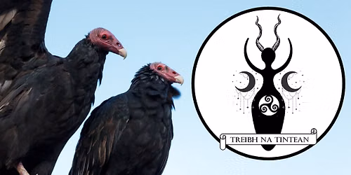Samhain Ritual w\/ Treibh na Tintean