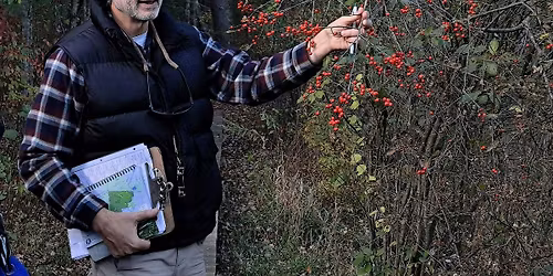 Late Spring Guided Nature Walk at Greenwood Park
