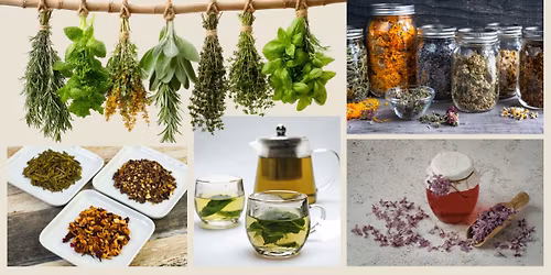 Herbal Preservation Basics & Tea Blending [In-Person & Virtual]