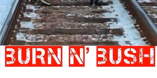 Burn N\u2019 Bush Christmas in the Grove!