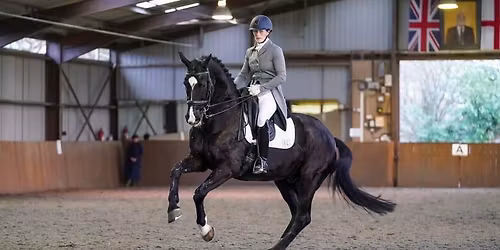 Dressage training with Daniel Timson
