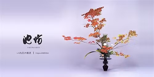 Invitation to Ikenobo Ikebana - Continuing Classes in Boulder CO (Nov)