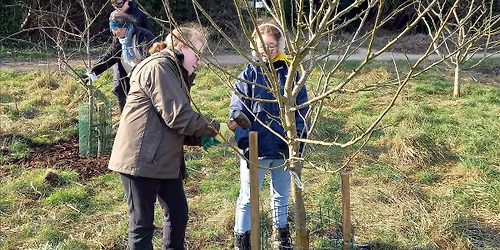 Bedfordshire Youth Rangers at Stockingstone Meadow, Luton