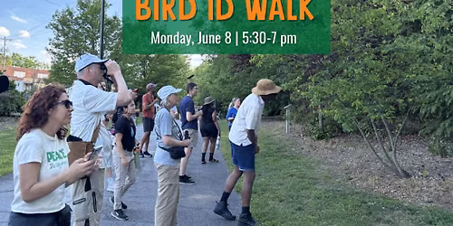 Bird ID Walk