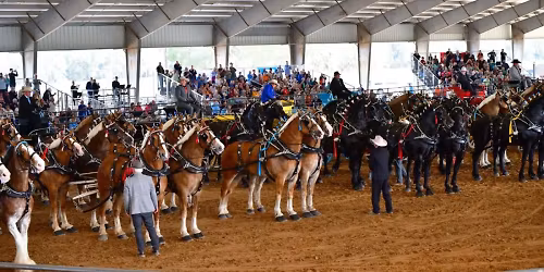 Grandview Invitational