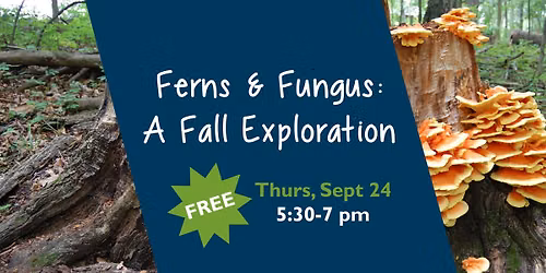 Ferns & Fungus: A Fall Exploration