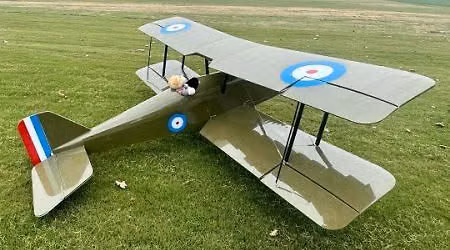 scale fly in
