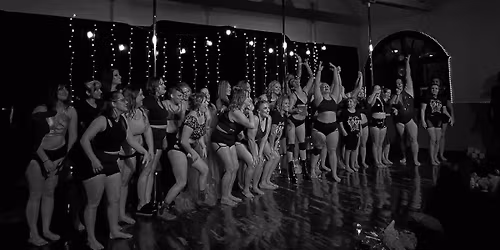 Vertical Vixens 7th Annual Studio Showcase