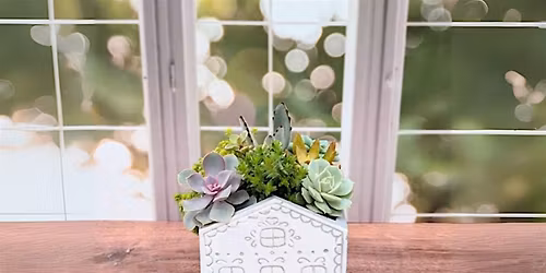 Holiday Succulent Workshop