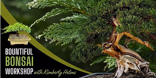 Bountiful Bonsai workshop