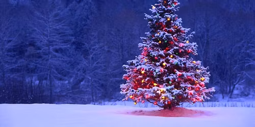 Christmas Tree Lighting