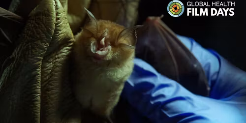 Spillover \/ The next pandemic threat