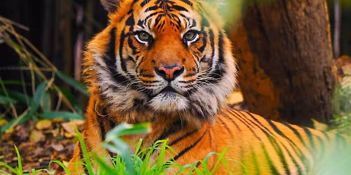Melbourne Zoo Wildlife Photography Course-Wildlife Photography Course