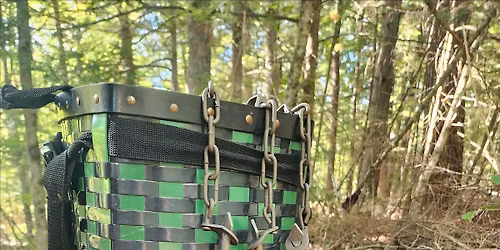 Learn to Trap: Setting DP Traps for Raccoons - Augusta