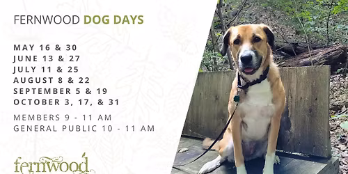 FERNWOOD DOG DAYS