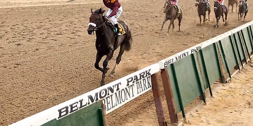 Belmont Stakes Racing Festival - Saturday