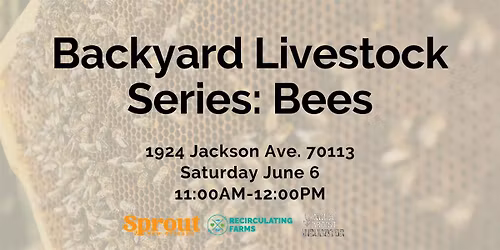 Backyard Livestock Series: Bees