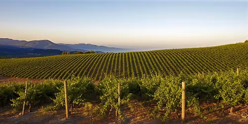 Clinkerdagger - Caymus Wine Dinner