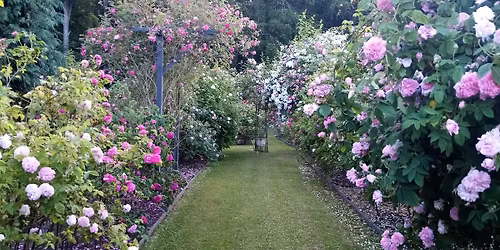 Den \u00e5rlige \u00e5bne weekend i Peter Schergs Rosenhaven i Vall\u00f8 Storskov