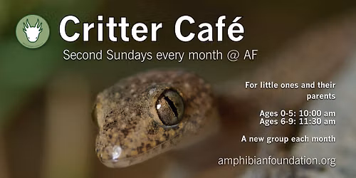 Critter Caf\u00e9 - Ages 6-9