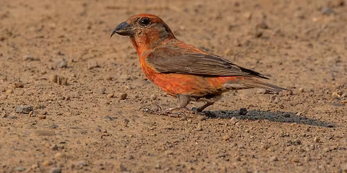 Five Valleys Audubon Society Board Meeting