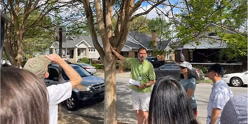 Tree Tour: Virginia Highland Neighborhood Arboretum