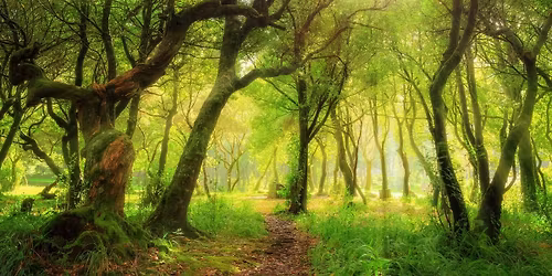 Systemic Family Constellations