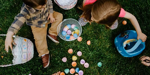 Adaptive Egg Hunt: AIR Program