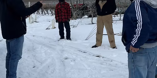 Spanish for Orchard Managers