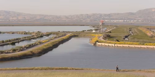LGBTQ+ Singles Hike- Sunnyvale West Pond Loop