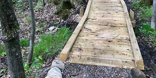 Food and Medicine: Spring Plant Hike