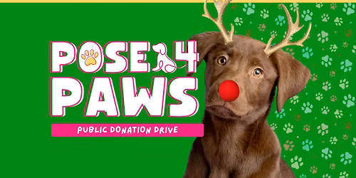 Pose4Paws Public Donation Drive 