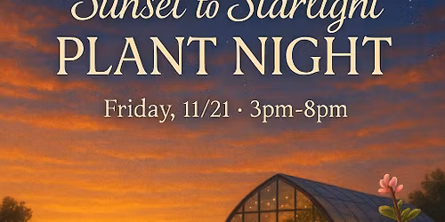 Sunset to Starlight Plant Night 