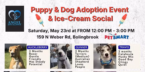 Puppy & Dog Adoption Event & Ice-Cream Social