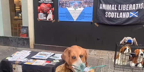 Terror Vision \ud83d\udcfa Alliance for Cruelty Free science and FEAT Finally end animal testing