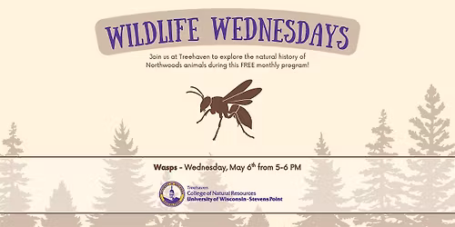 Wildlife Wednesday at Treehaven: Wasps