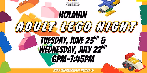 Adult Lego Night