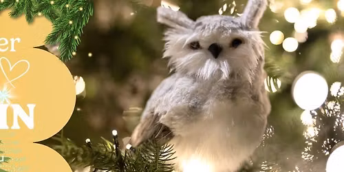 Atelier COUP DE COEUR SAPIN!\ud83c\udf84| Gratuit! |