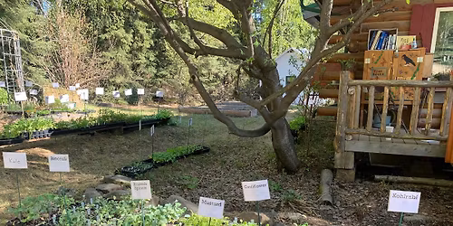 Plant Sale